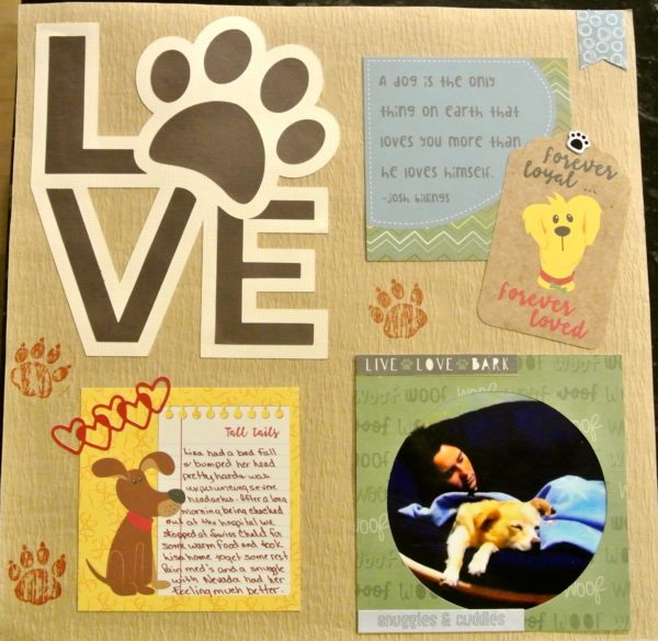 Photo Play’s – Cooper & Friends with Cathy