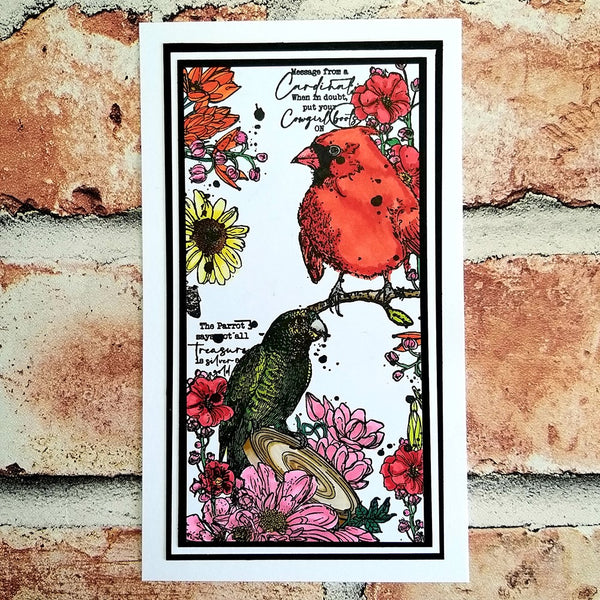 AALL & Create - Feather Besties - A6 clear stamp set 800