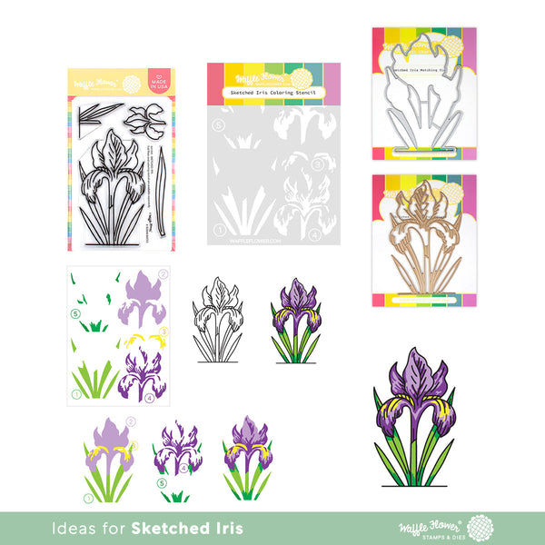Waffle Flower - Sketched Iris - Clear stamp set