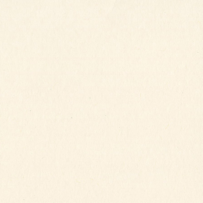 Bazzill - 12 x 12 Smoothies Cardstock - Natural