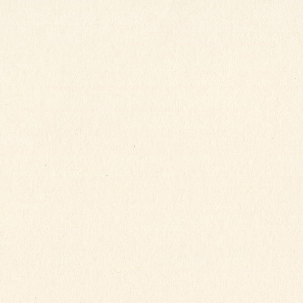 Bazzill - 12 x 12 Smoothies Cardstock - Natural