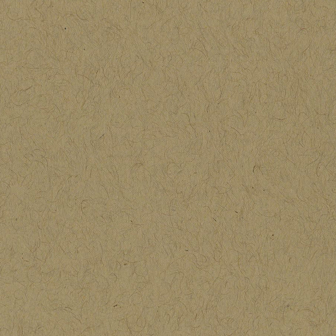Bazzill - 12 x 12 Smoothies Cardstock - Kraft