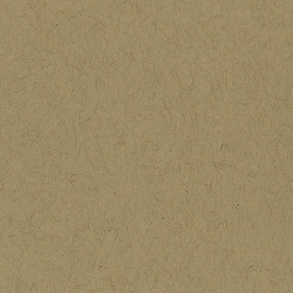 Bazzill  - 12 x 12 Smoothies Cardstock - Kraft