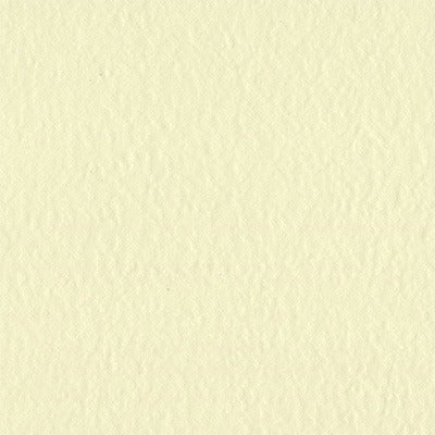 Bazzill Mono - 12x12 Textured Cardstock - Butter Cream