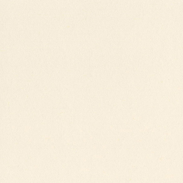 Bazzill - Heavyweight Cardstock 12 x 12 - Butter Mints