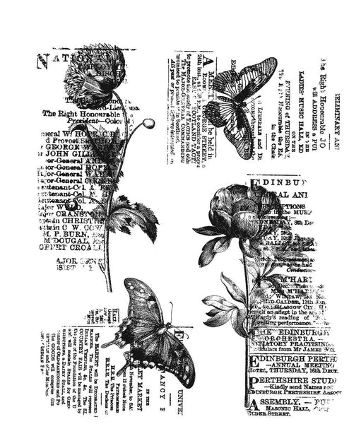 Stampers Anonymous - Tim Holtz - Botanic Collage cling stamp set