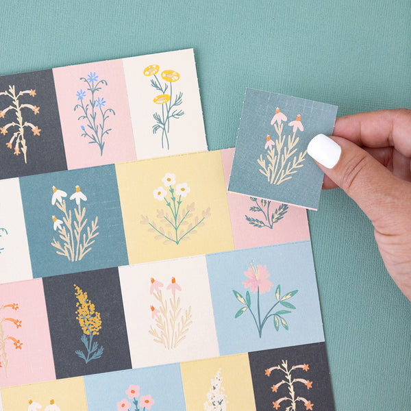 Maggie Holmes - Parasol - Specialty Paper