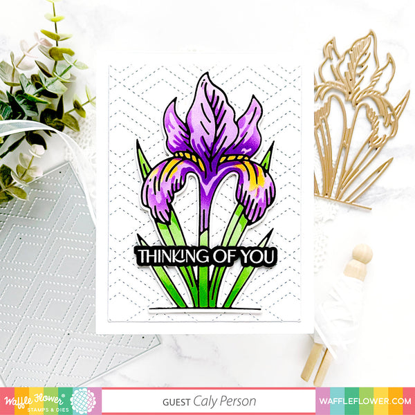 Waffle Flower - Sketched Iris - Clear stamp set