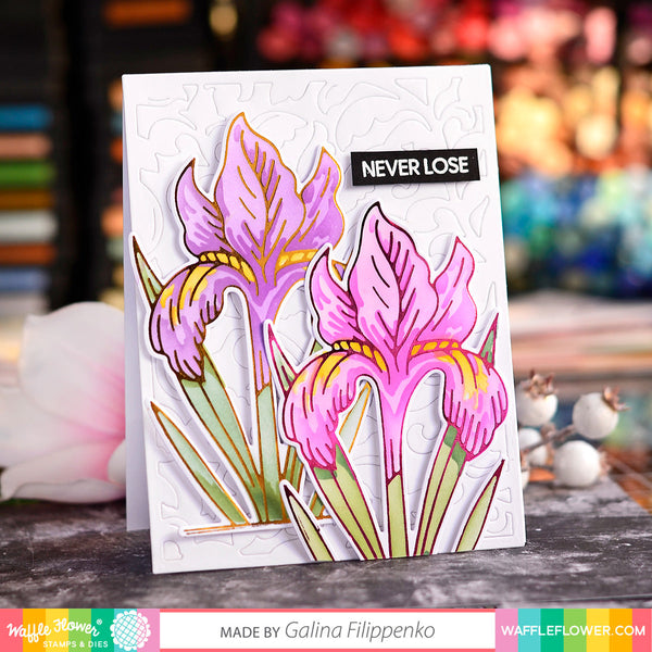 Waffle Flower - Sketched Iris Colouring Stencil