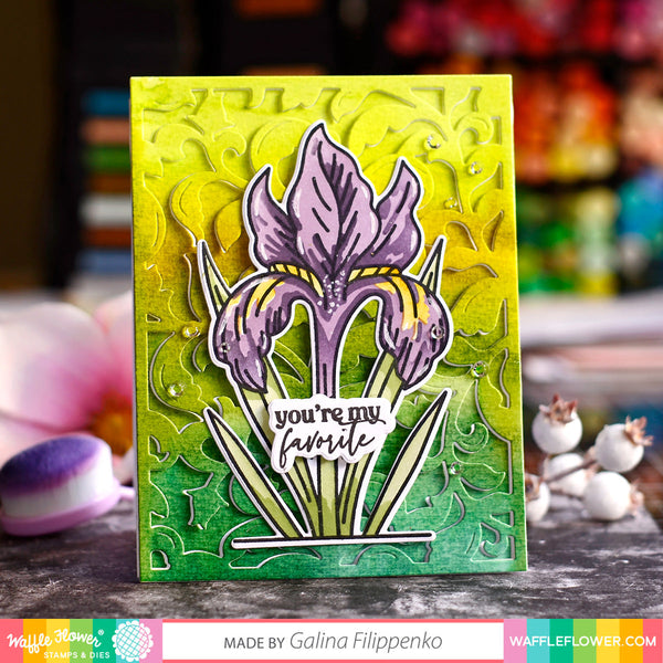 Waffle Flower - Sketched Iris Matching die