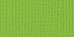 American Crafts - 12x12 Textured Cardstock - Cricket