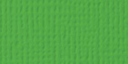 American Crafts - 12x12 Textured Cardstock - Grass