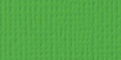American Crafts - 12x12 Textured Cardstock - Grass