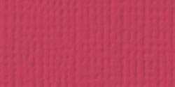American Crafts - 12x12 Textured Cardstock - Ladybug