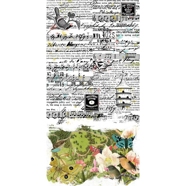 49 & Market - Birdsong - Washi Tape Sheets