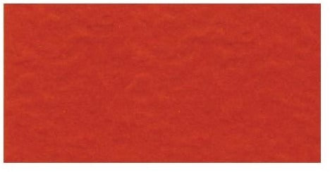 Bazzill Fourz - 12 x 12 Textured Cardstock - Classic Orange