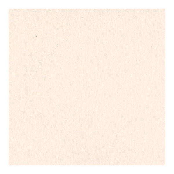 Bazzill - Heavyweight Cardstock 12 x 12 - Pale Rose