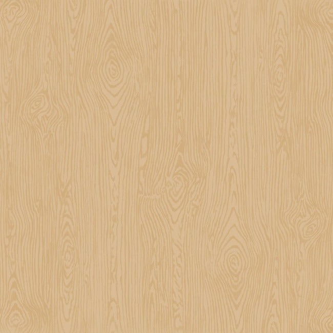 American Crafts - Dark Kraft - 12 x 12 Woodgrain Textured Cardstock