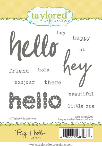 Taylored Expressions - Big Hello - Cling stamp set