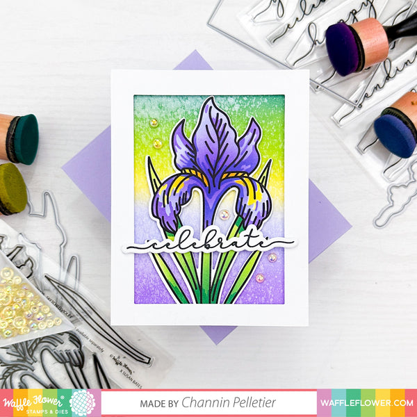 Waffle Flower - Sketched Iris - Clear stamp set